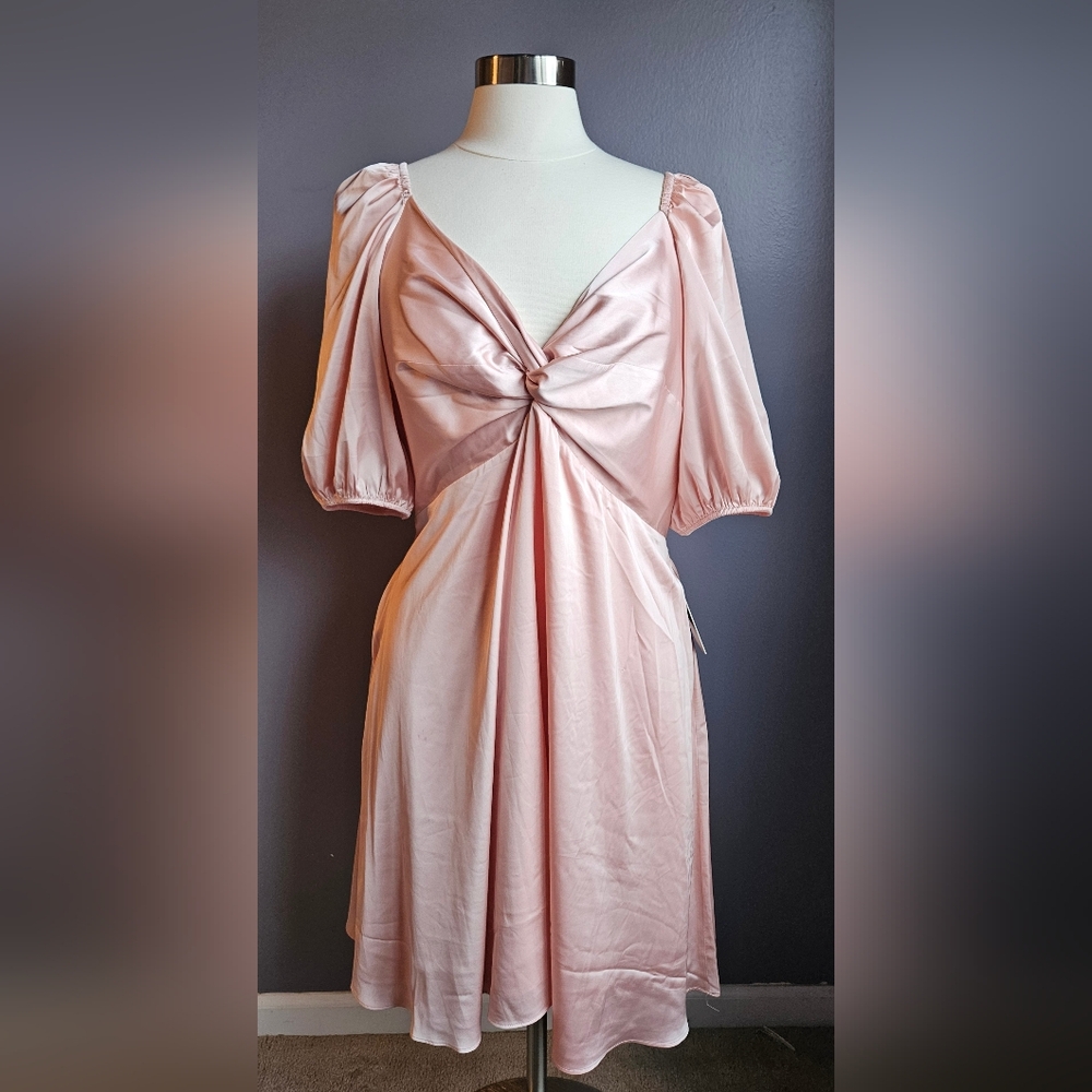 Express Blush Pink Satin Dress
